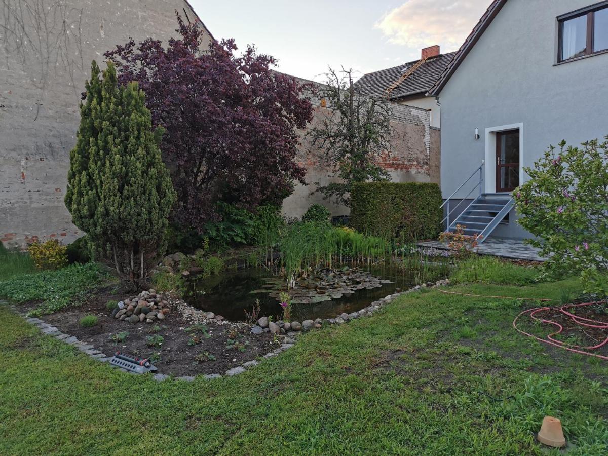 Fewo Rohleder De Mit 130M2 Und Garten Fuer 6Pers Mit 2 Bad Cottbus Esterno foto