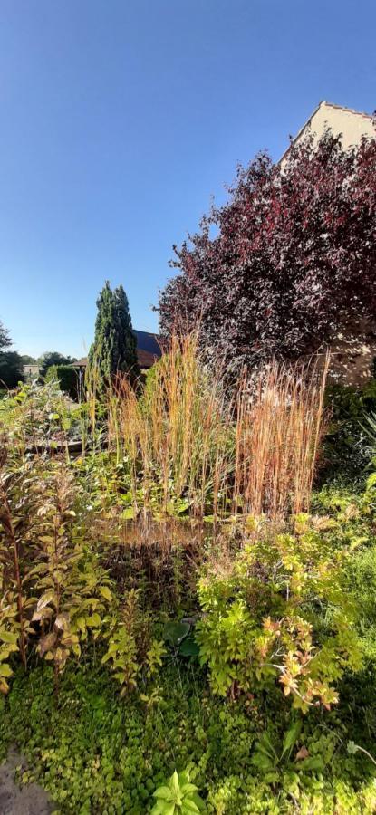 Fewo Rohleder De Mit 130M2 Und Garten Fuer 6Pers Mit 2 Bad Cottbus Esterno foto